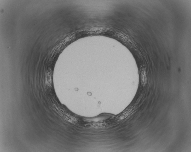 X0000068261204200605191754