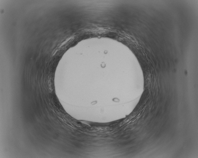 X0000068261205200605191754