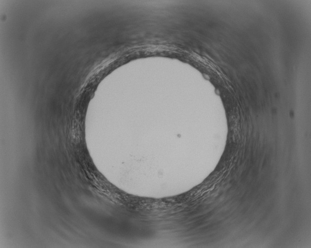 X0000068261207200605191754