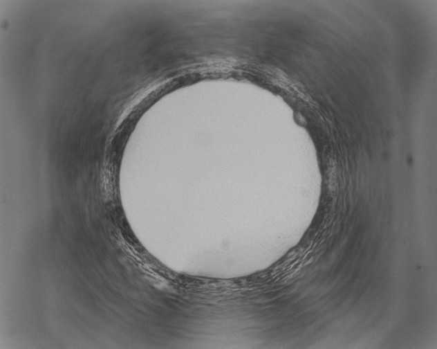 X0000068261208200605191754