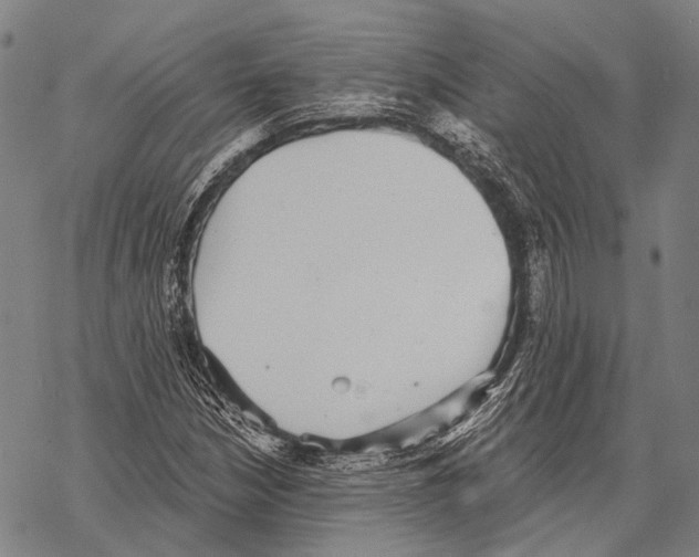 X0000068261210200605191754