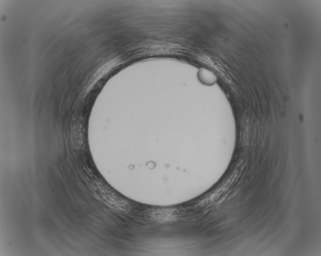 X0000068261211200605191754