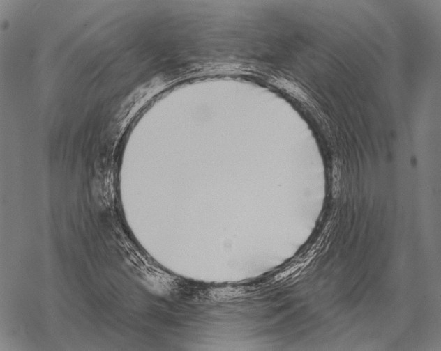 X0000068261212200605191754