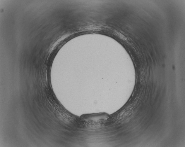 X0000068261214200605191754