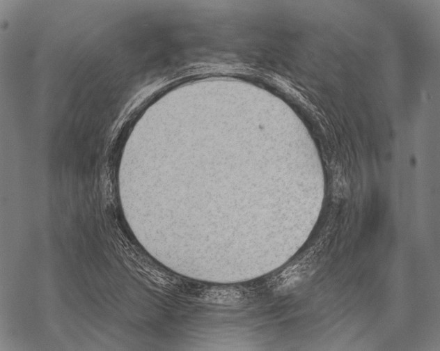 X0000068261215200605191754