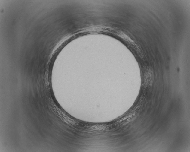 X0000068261216200605191754