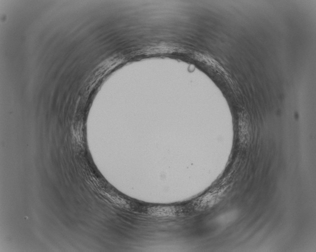 X0000068261217200605191754