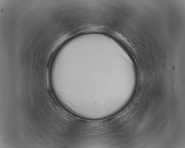 X0000068261219200605191754