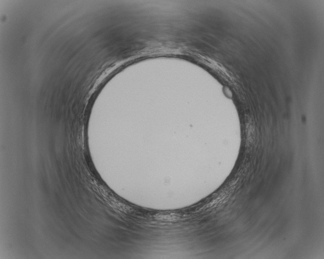 X0000068261220200605191754