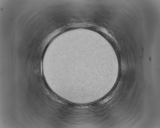 X0000068261221200605191754