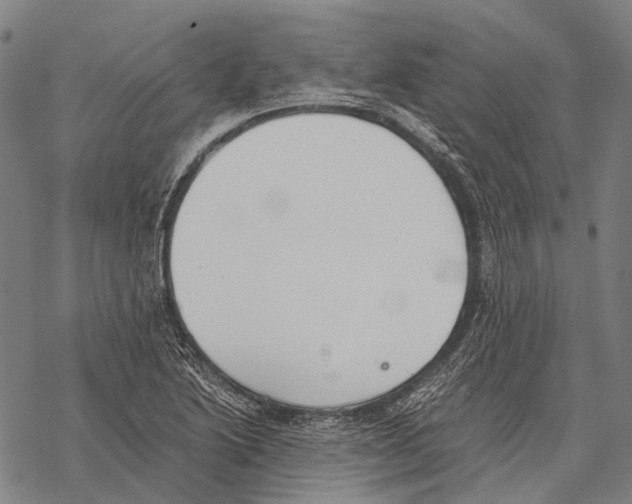 X0000068261222200605191754