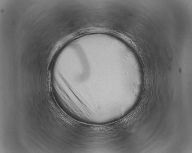 X0000068261223200605191754