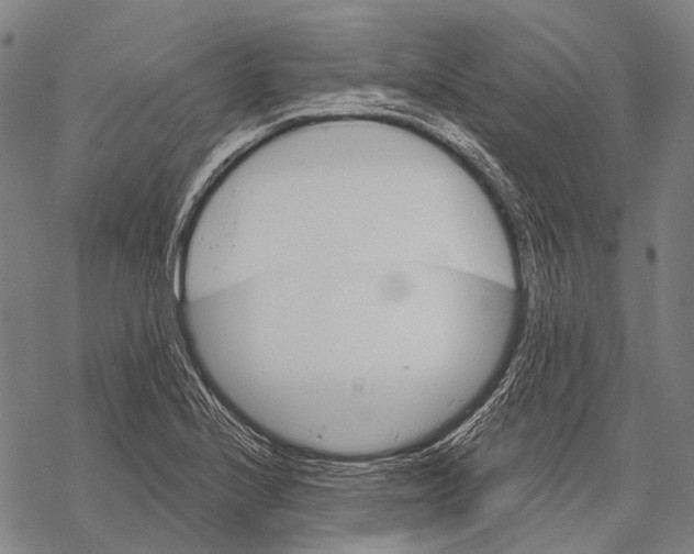 X0000068261224200605191754