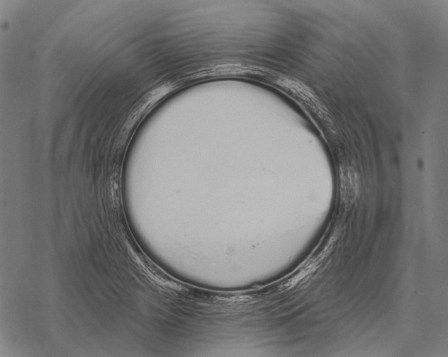 X0000068261225200605191754