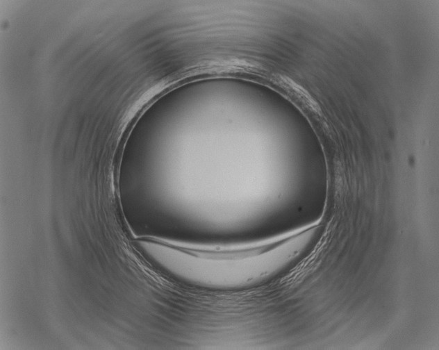 X0000068261226200605191755