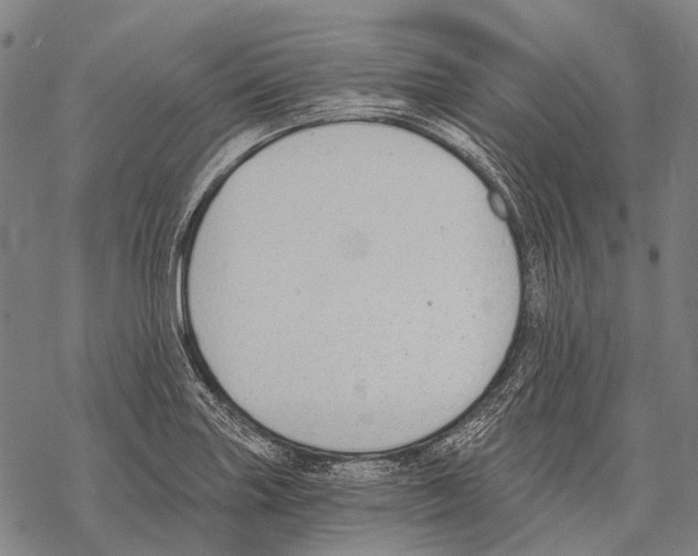 X0000068261227200605191755