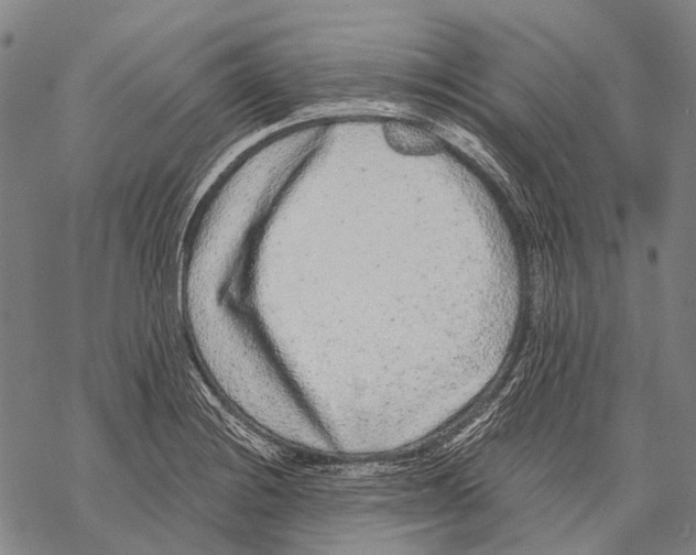 X0000068261228200605191755