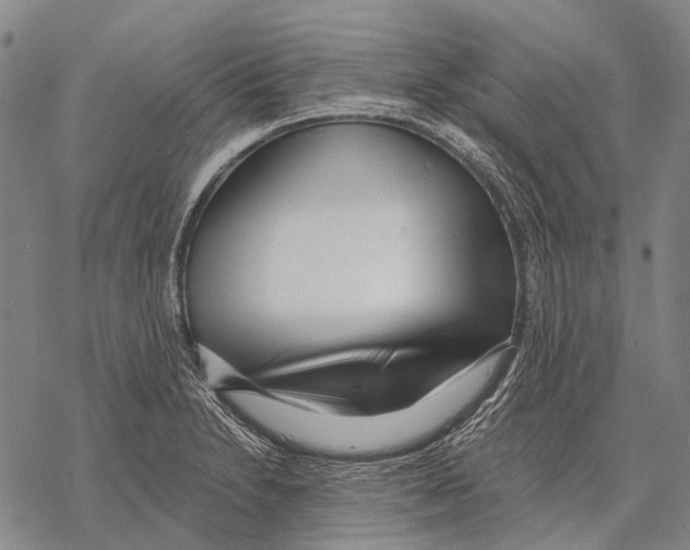 X0000068261230200605191755