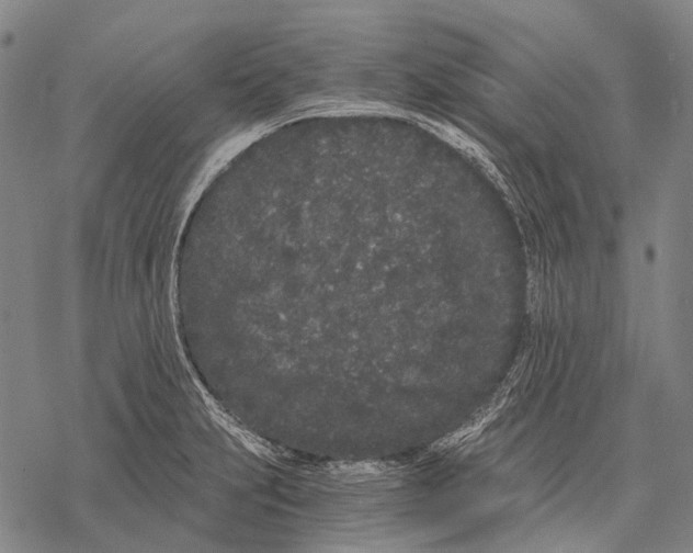 X0000068261231200605191755