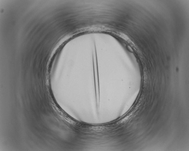 X0000068261232200605191755