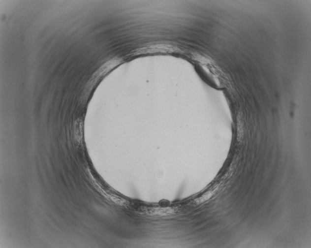 X0000068261233200605191755