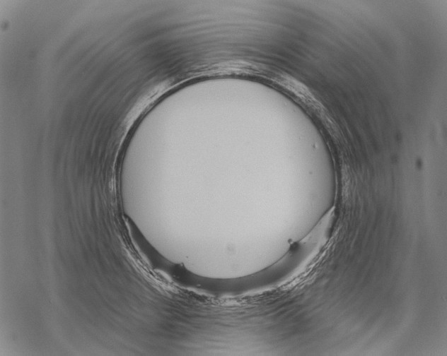 X0000068261234200605191755