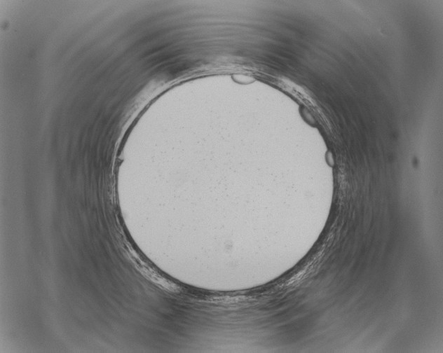 X0000068261236200605191755