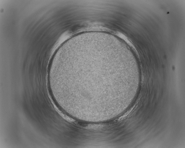 X0000068261237200605191755