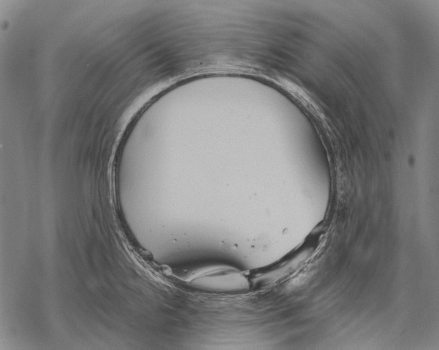 X0000068261238200605191755