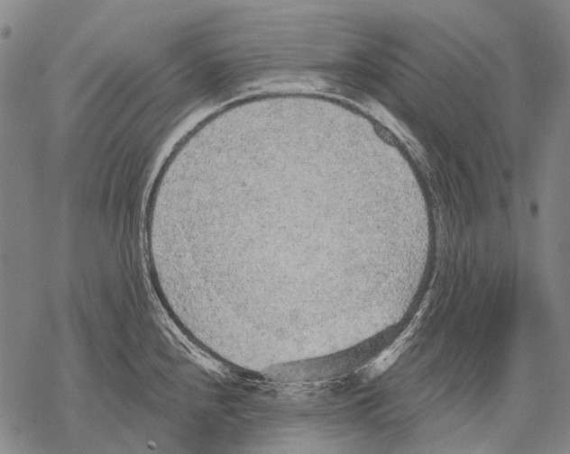 X0000068261240200605191755