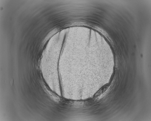 X0000068261241200605191755