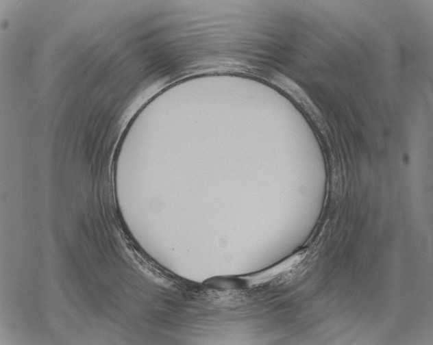 X0000068261242200605191755