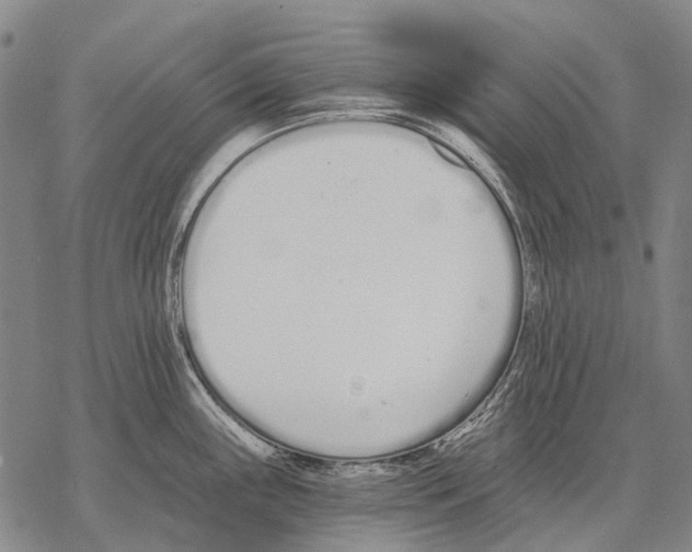 X0000068261243200605191755