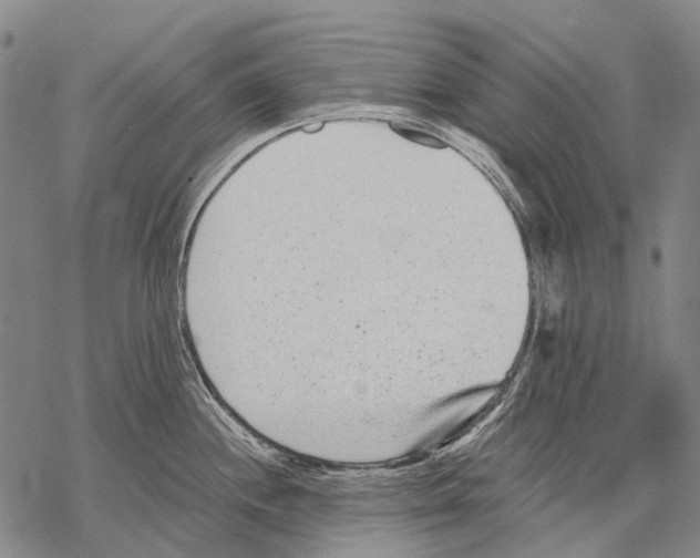 X0000068261244200605191755