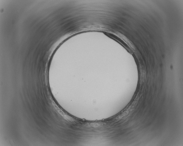 X0000068261246200605191755