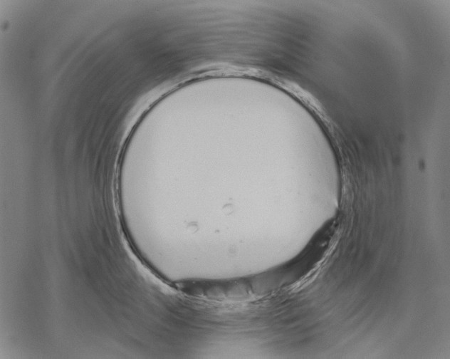 X0000068261247200605191755