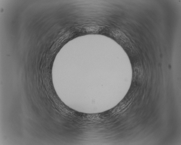 X0000068261249200605191754