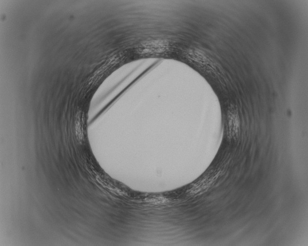 X0000068261250200605191754