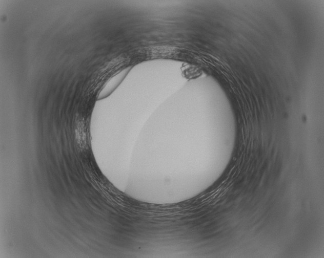 X0000068261252200605191754