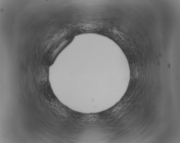 X0000068261253200605191754