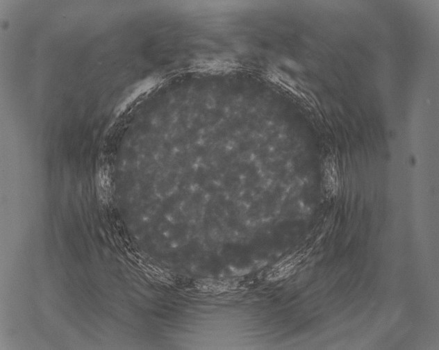 X0000068261254200605191754