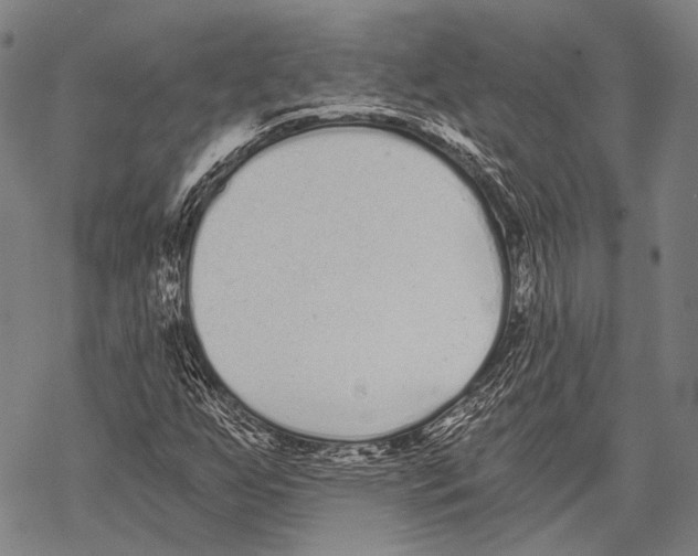 X0000068261255200605191754