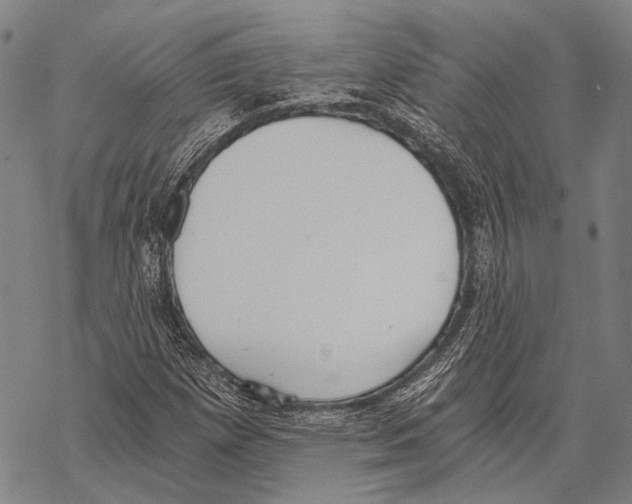 X0000068261257200605191754