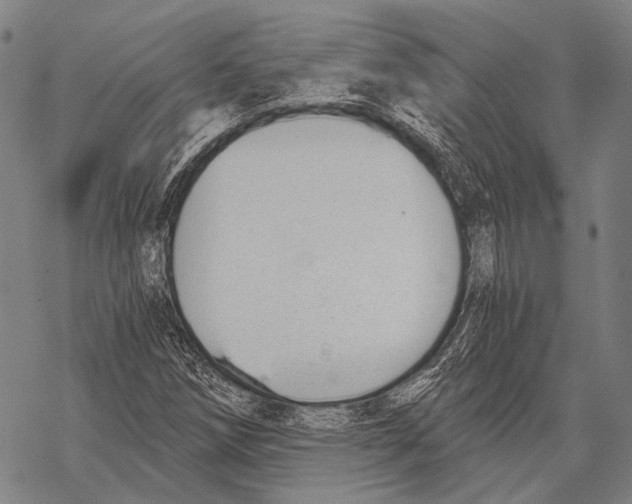 X0000068261258200605191754