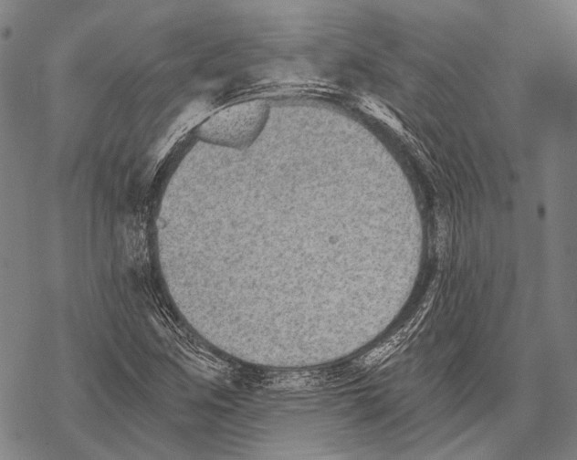 X0000068261259200605191754