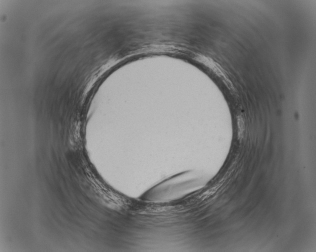 X0000068261260200605191754