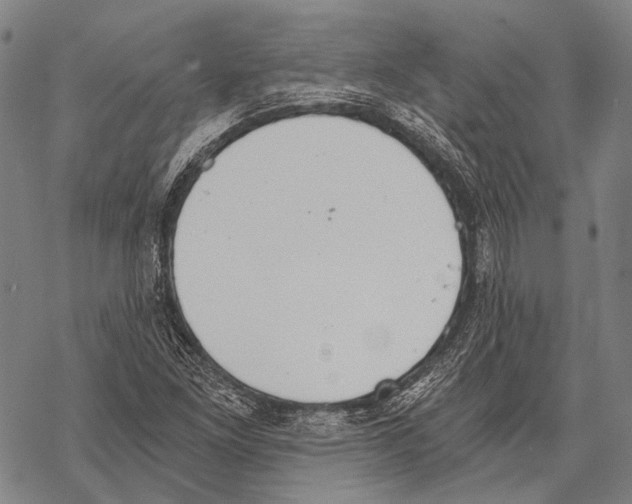 X0000068261261200605191754