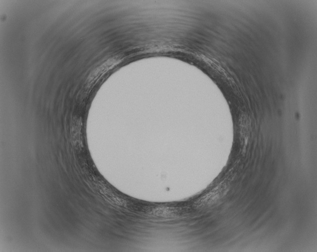 X0000068261265200605191754