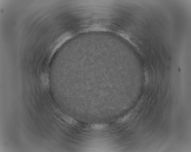 X0000068261266200605191754