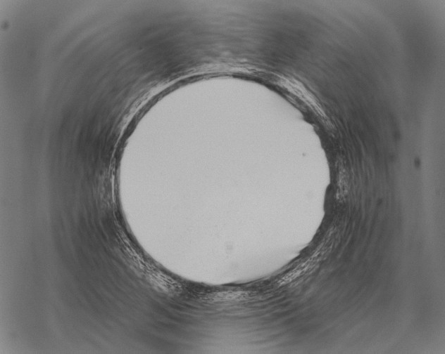 X0000068261268200605191754